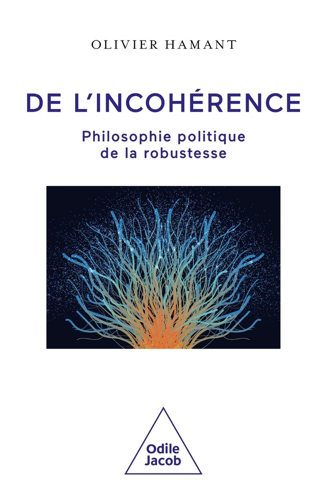 De l'incohérence - Philosophie politique de la robustesse